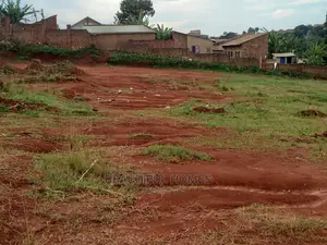 Kisaasi Komamboga Fantastic Plots Near the Road on Sale