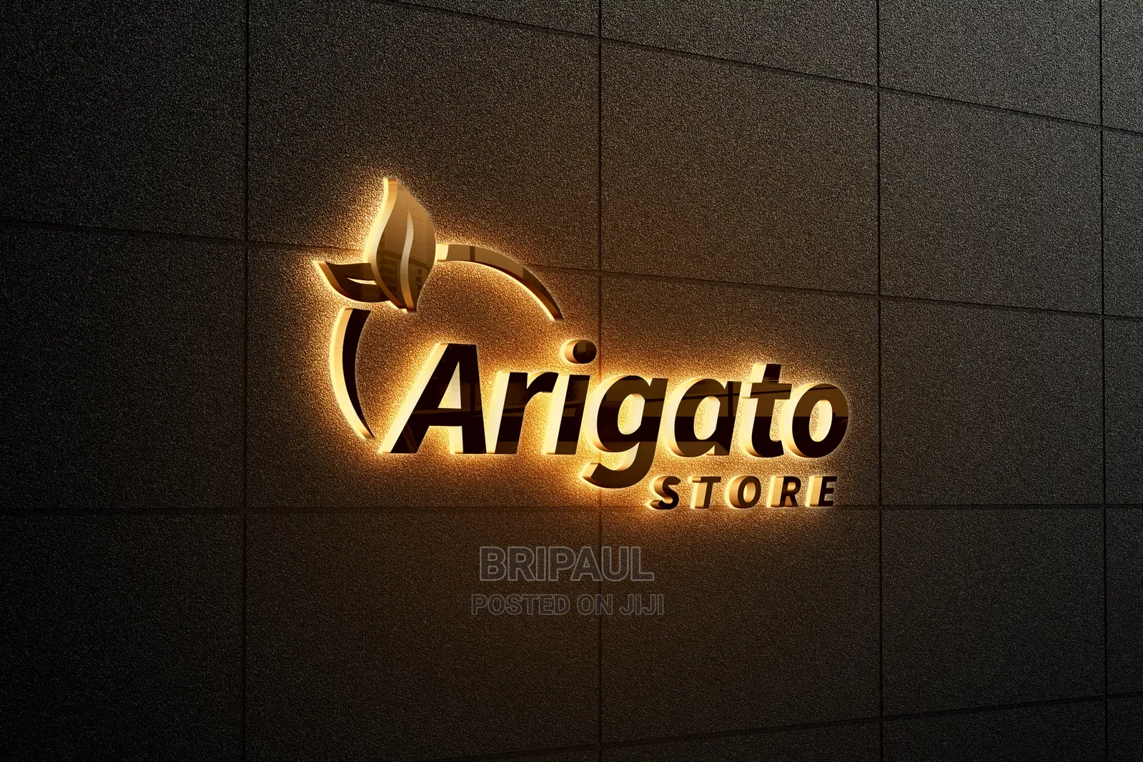 Logo Designing And Graphics Work