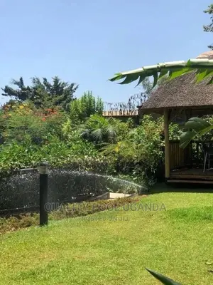Irrigation System Installation Experts