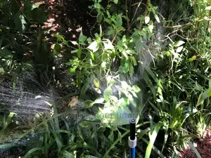 Irrigation System Installation Experts