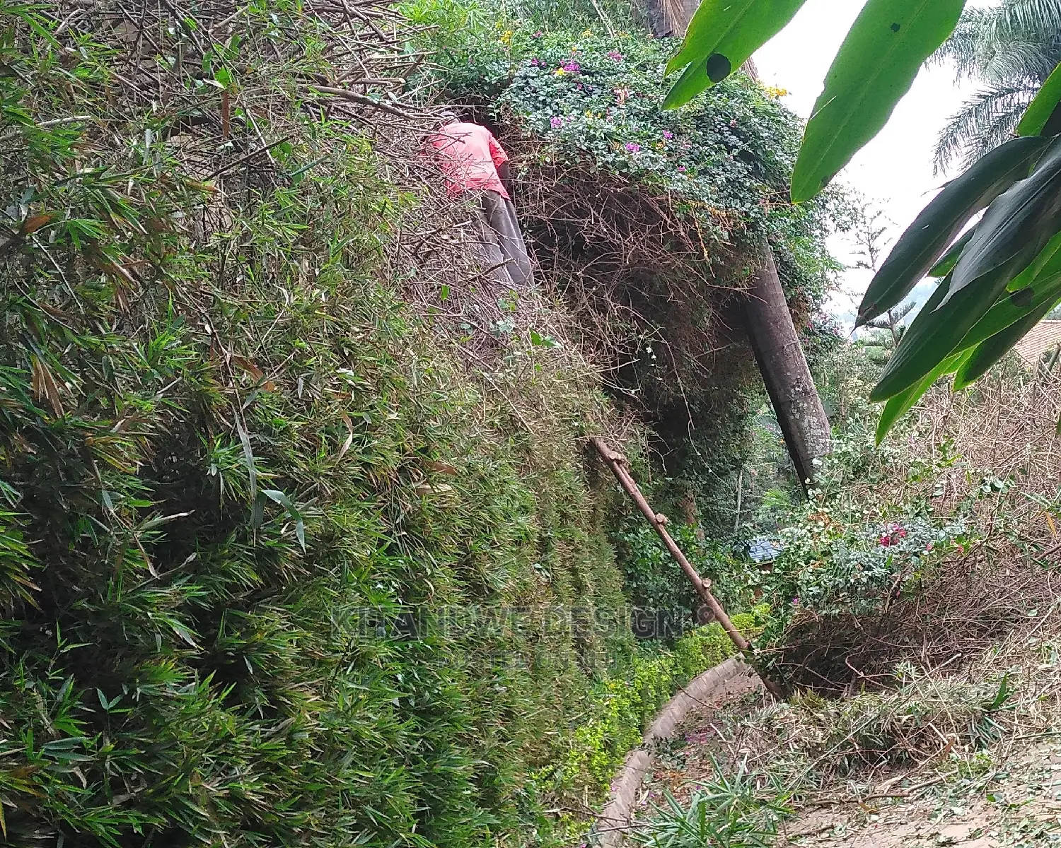 Landscaping And Gardening