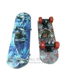 Skate Board for Adults