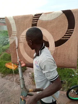 Knowledgeable, Experienced Roof, Carpet Cleaning Services.