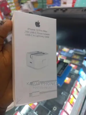iPhone 13 Pro Max 25W