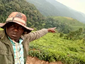 Farm Land.