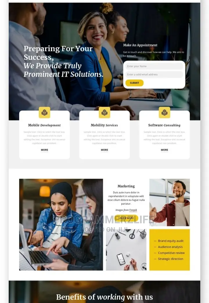 Professional Elegant Website Design Development