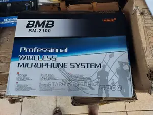 Professional Wireless Microphone System