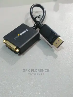 Startechcom Displayport to DVI Video Adapter