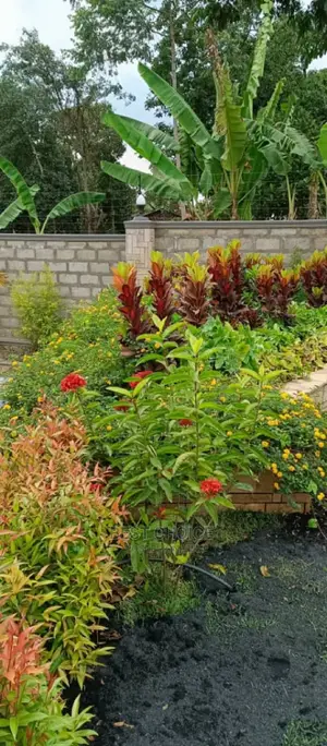 Compound Designing Services for a Beautiful Compound
