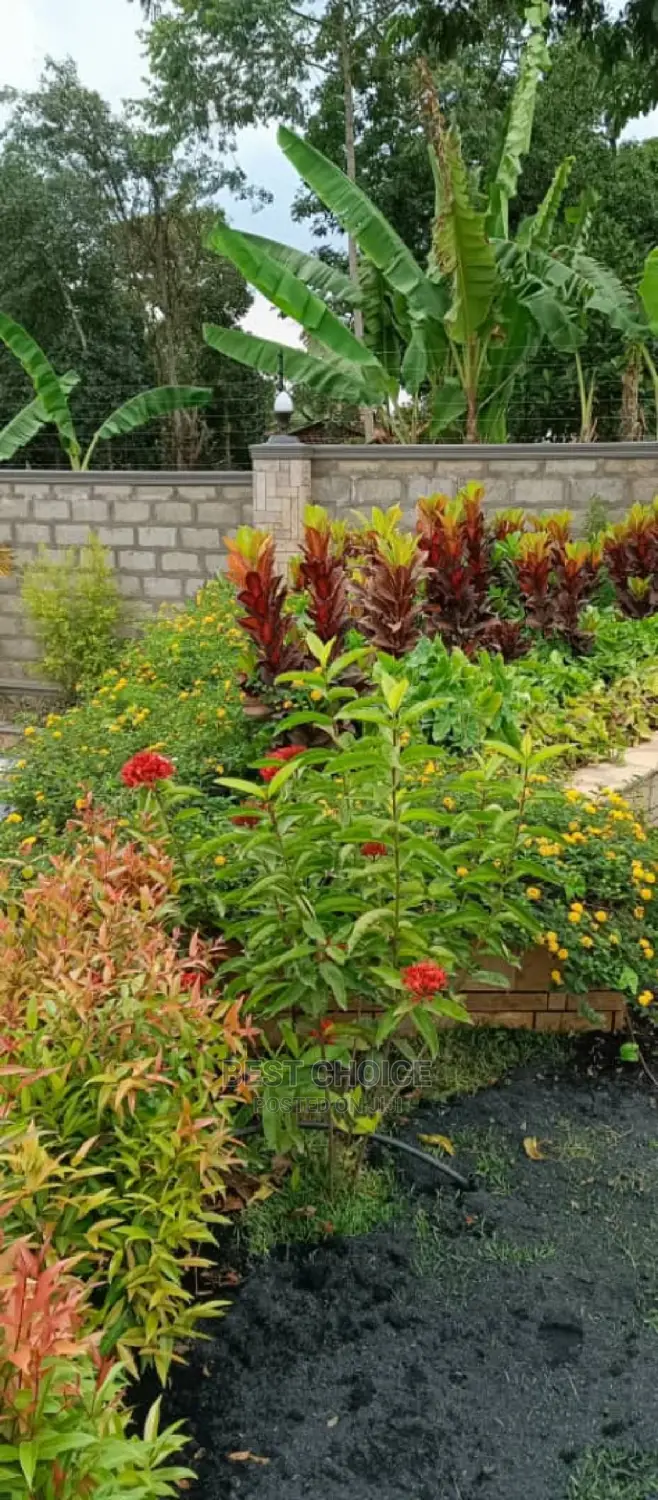 Compound Designing Services for a Beautiful Compound