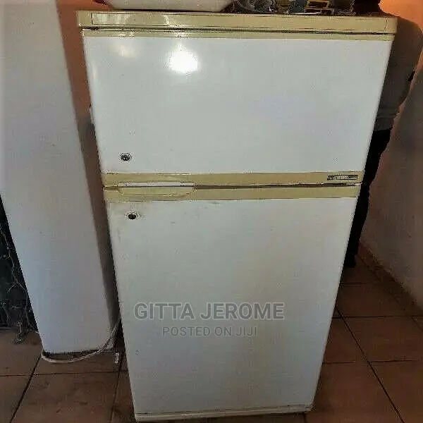 Fridge or Freezer Mechanic or Technician