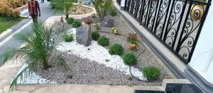 Beautify Your Property With the Best Compound Designers.