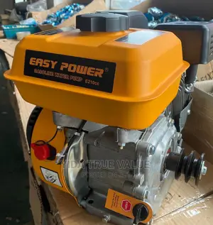 Petrol Engine Easy Power Brand
