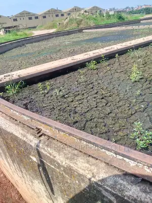Treated Sewage Manure