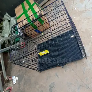 Metallic Cage of Dogs, Cats