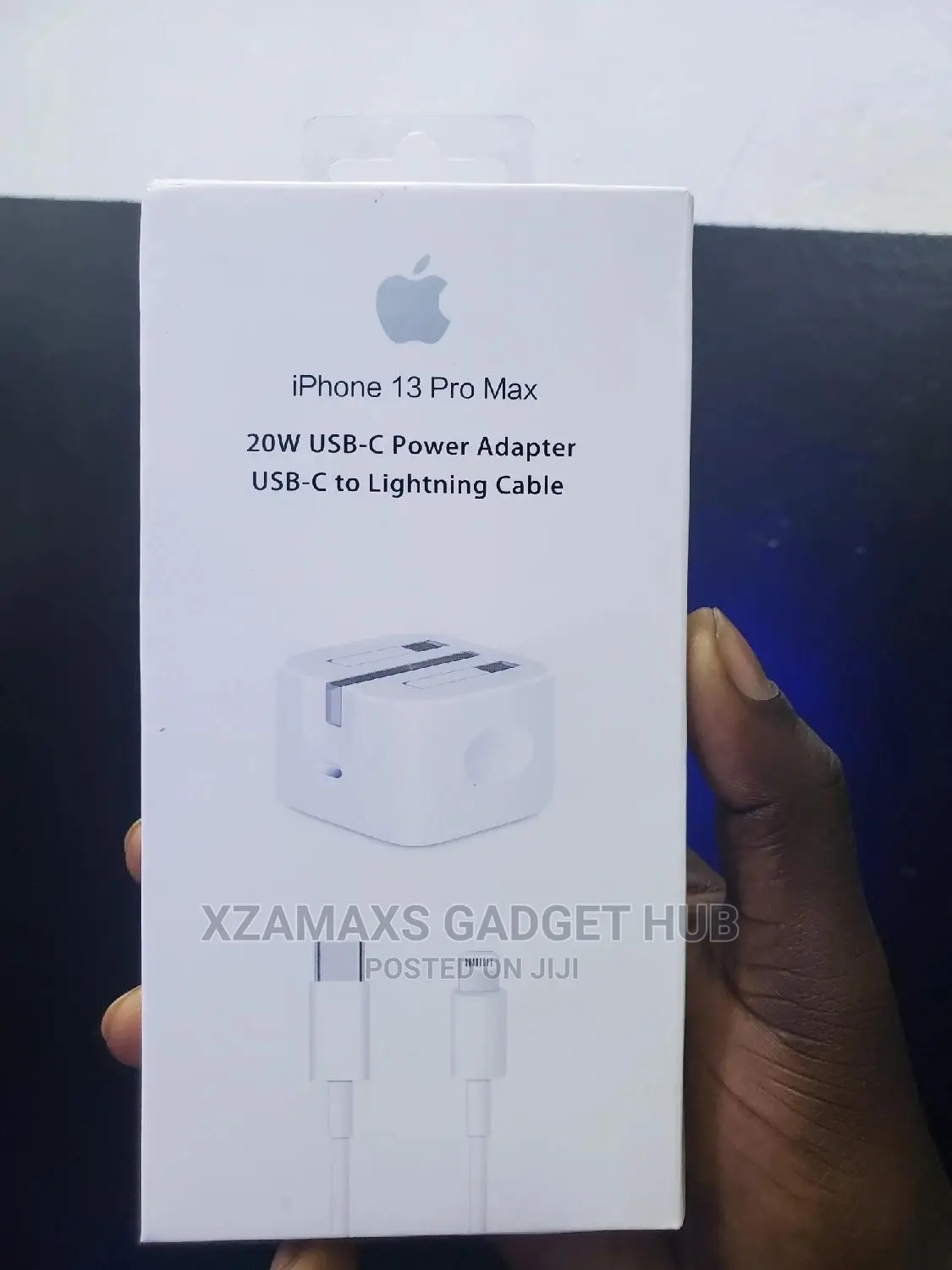 iPhone Charger