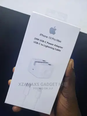 iPhone Charger