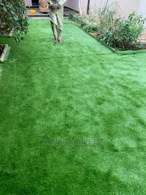 Artificial Grass