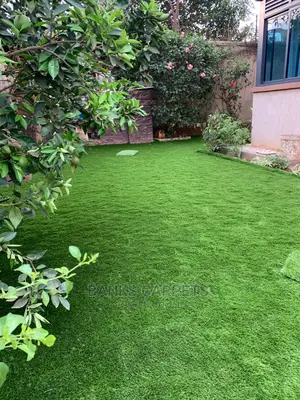 Artificial Grass