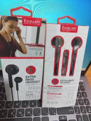 Excellent Earphones
