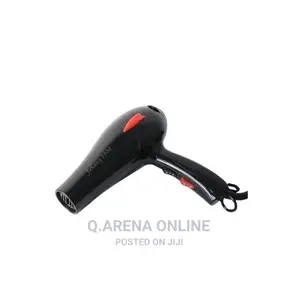 Professional Hair Dryer