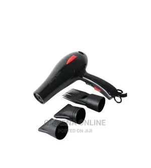 Professional Hair Dryer