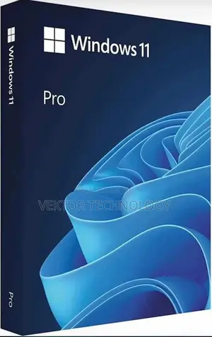 Microsoft Windows 11 (USB) With Digital License