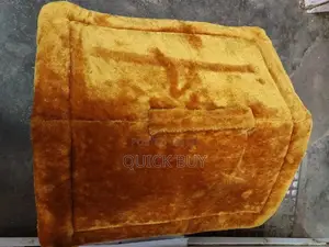 Folding Pet House With Soft Mat
