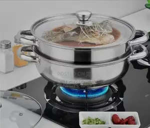 2 Layer Steamer and Cooking Pot