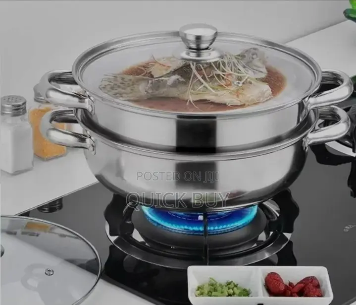 2 Layer Steamer and Cooking Pot