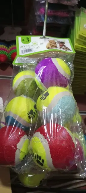 6 Pcs Dog Play Toys