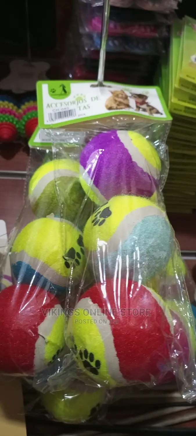 6 Pcs Dog Play Toys