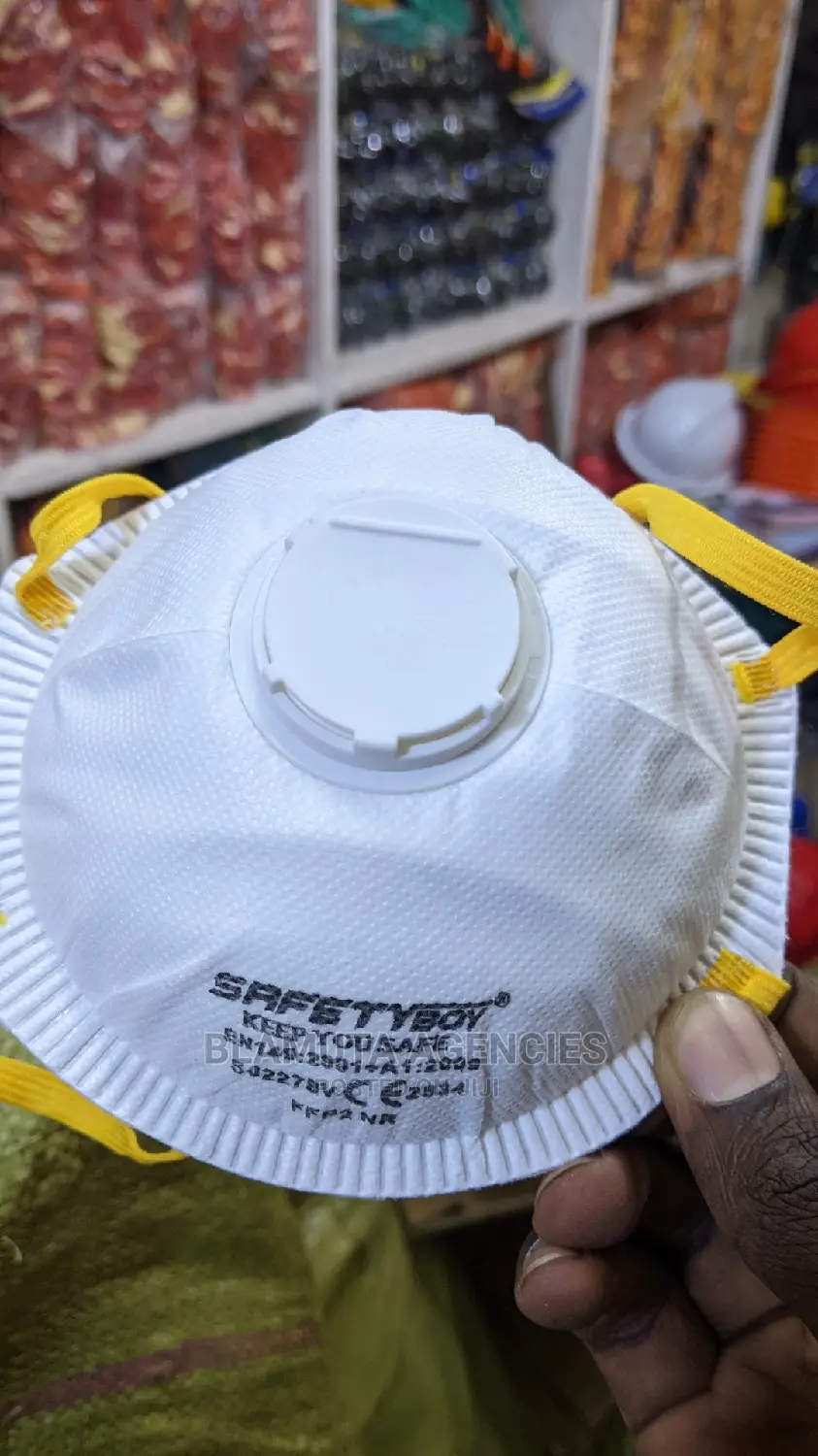 Dust Mask (FFP2 Mask