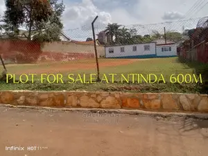 Genuine Piece of Land