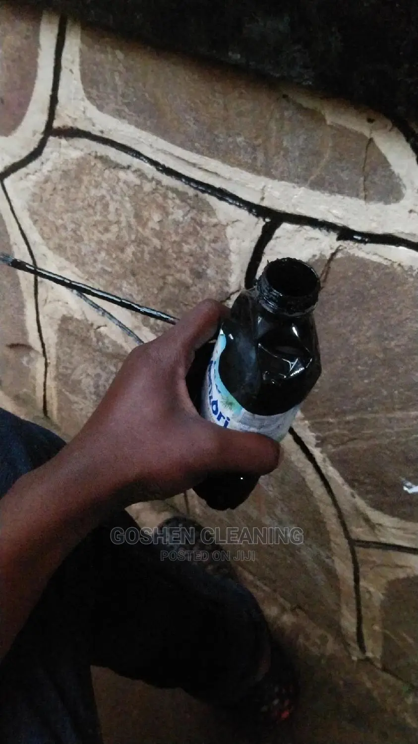 Home and Office Carpet Cleaners
