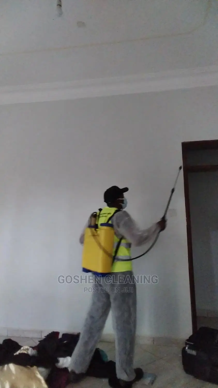 Home and Office Carpet Cleaners