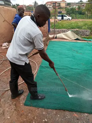 Effective Carpet Cleaning Services