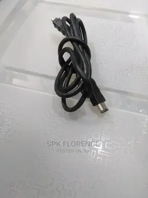 Firewire Cable