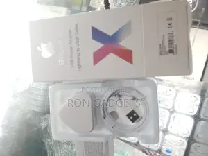 iPhone Charger