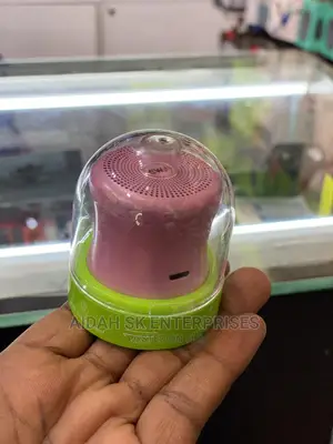 Ewa A119 Portable Speaker