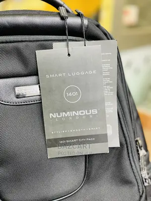 Numinous London Backpack With Fingerprint and Powebank