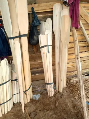 Mingling Sticks in All Sizes