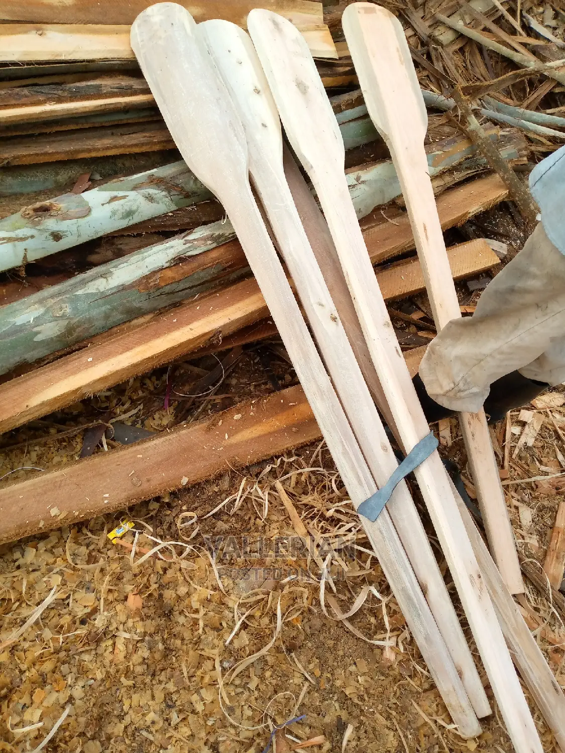 Mingling Sticks in All Sizes