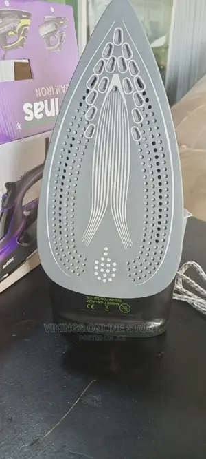 Professional Steam Iron 