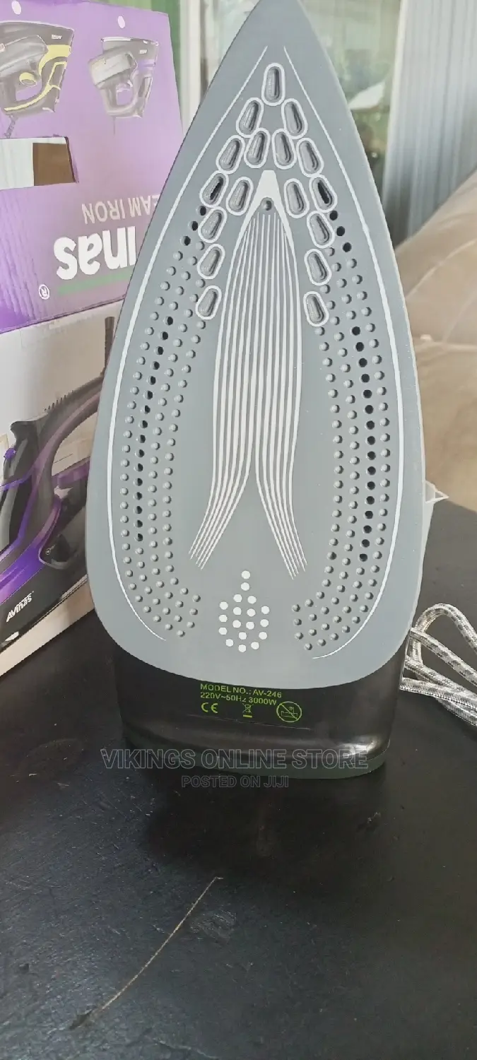 Professional Steam Iron 