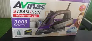 Professional Steam Iron 