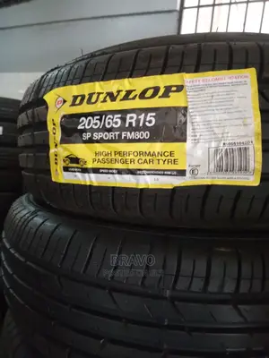 205/65r15 Dunlop Japan