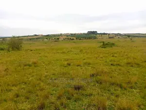 Land on Sell