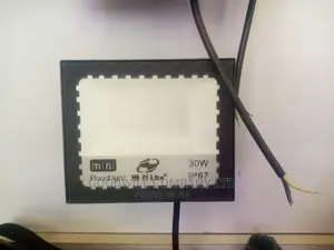 30w AC Flood Light