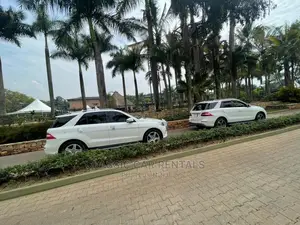 Mercedes Benzes Ml Class for Hire